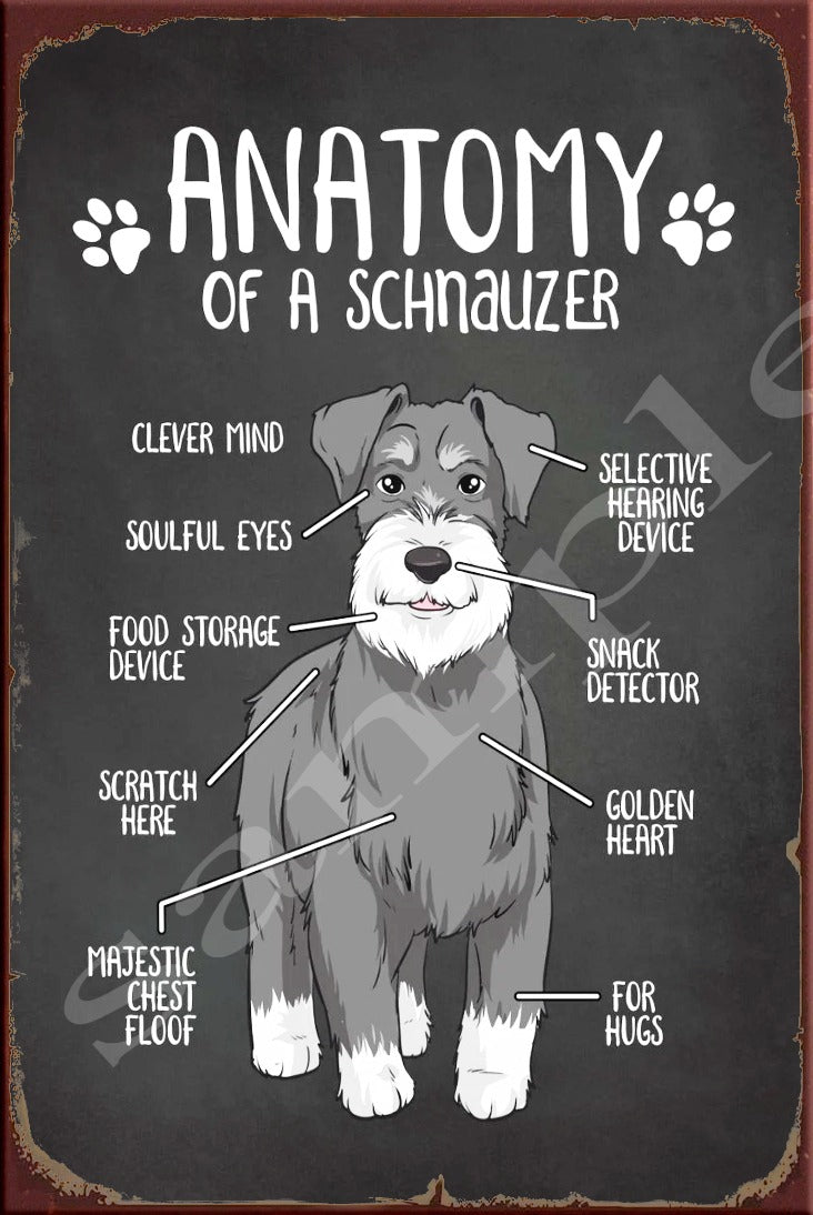ANATOMY OF A SCHNAUZER Retro/ Vintage Wall Home Décor, Shed-Garage and Bar Tin Metal Sign