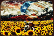 SUNFLOWER GALAXY Vintage Retro Rustic Wall Décor Plaques Man Cave Metal Sign