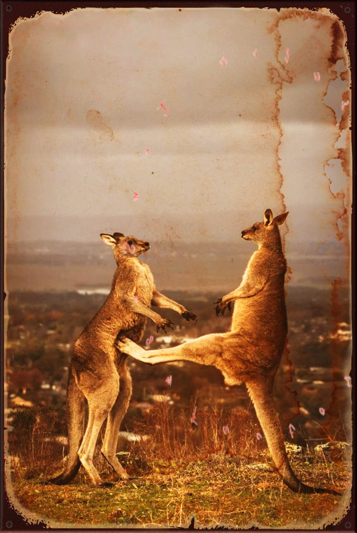 BOXING KANGAROO Rustic Look Vintage Shed-Garage and Bar Man Cave Tin Metal Sign