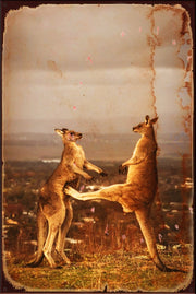 BOXING KANGAROO Rustic Look Vintage Shed-Garage and Bar Man Cave Tin Metal Sign