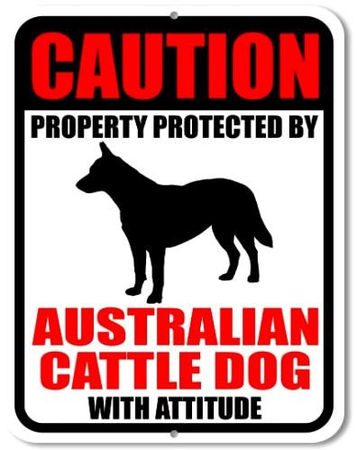 CATTLE DOG WITH ATTITUDE Retro/ Vintage Tin Metal Sign Man Cave, Wall Home Decor, Shed-Garage, and Bar