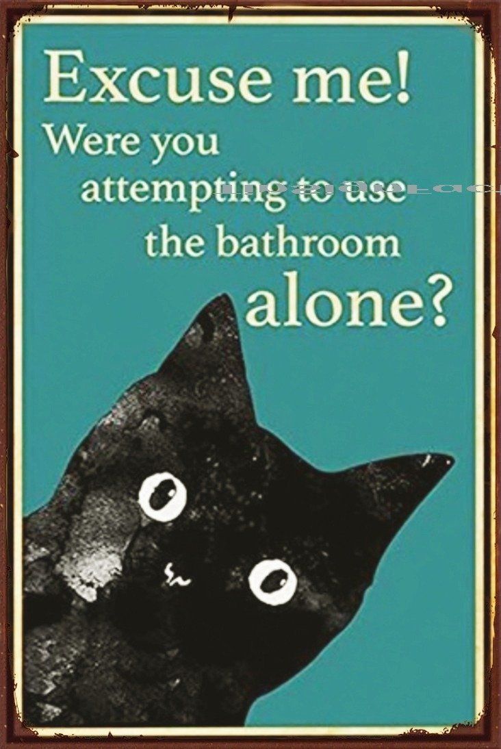 EXCUSE ME-CAT BATHROOM Rustic Retro/Vintage Home Garage Wall Café Resto or Bar Tin Metal Sign