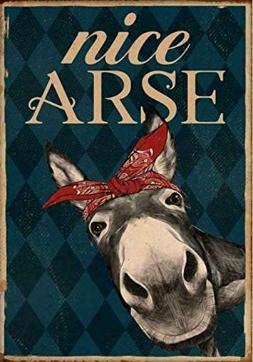 NICE ARSE Retro/ Vintage Tin Metal Sign Man Cave, Wall Home Decor, Shed-Garage, and Bar