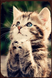 PRAYING KITTEN Retro/ Vintage Home Décor, Shed-Garage and Bar Tin Metal Sign