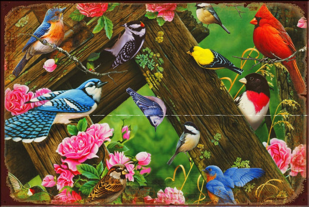 SONGBIRDS Vintage Retro Rustic Garage Wall Man Cave Metal Sign