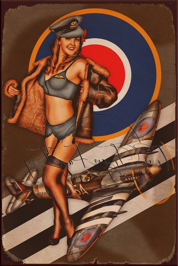 SPITFIRE CURVES Retro/ Vintage Tin Metal Sign Man Cave, Wall Home Décor, Shed-Garage, and Bar 