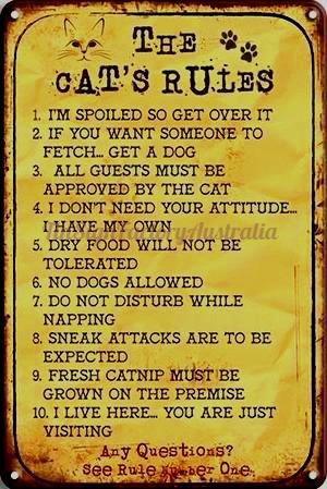 THE CAT'S RULES Rustic Retro/Vintage Home Garage Wall Cafe Resto or Bar Tin Metal Sign