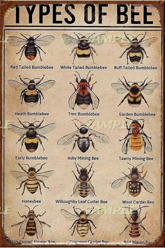 TYPES OF BEE Retro/ Vintage Tin Metal Sign Man Cave, Wall Home Décor, Shed-Garage, and Bar