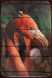 THE FROGMINGO Retro/ Vintage Tin Metal Sign Man Cave, Wall Home Décor, Shed-Garage, and Bar