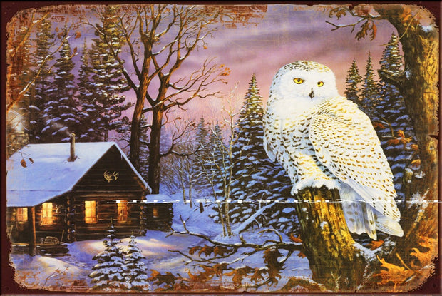 WHITE OWL PORTRAIT Vintage Retro Rustic Garage Wall Man Cave Metal Sign