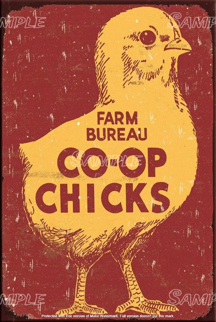 COOP CHICKS Retro/ Vintage Tin Metal Sign Man Cave, Wall Home Puzzled Décor, Shed-Garage, and Bar