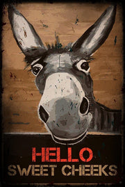 DONKEY HELLO SWEET CHEEKS Funny Bathroom Retro/ Vintage Wall Poster Home Office Workplace Restaurant Farmhouse Toilet Tin Metal Sign