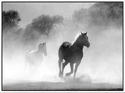 WILD RUNNING HORSES PORTRAIT Retro/Vintage Metal Plaque Sign Style Man Cave Garage Work Office