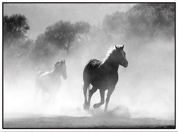 WILD RUNNING HORSES PORTRAIT Retro/Vintage Metal Plaque Sign Style Man Cave Garage Work Office