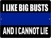 I LIKE BIG BUSTS Retro/Vintage Metal Plaque Sign Style Man Cave Garage Work Office