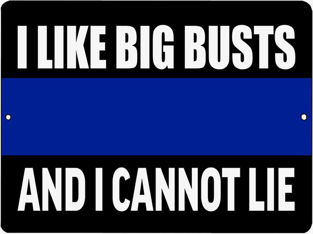 I LIKE BIG BUSTS Retro/Vintage Metal Plaque Sign Style Man Cave Garage Work Office
