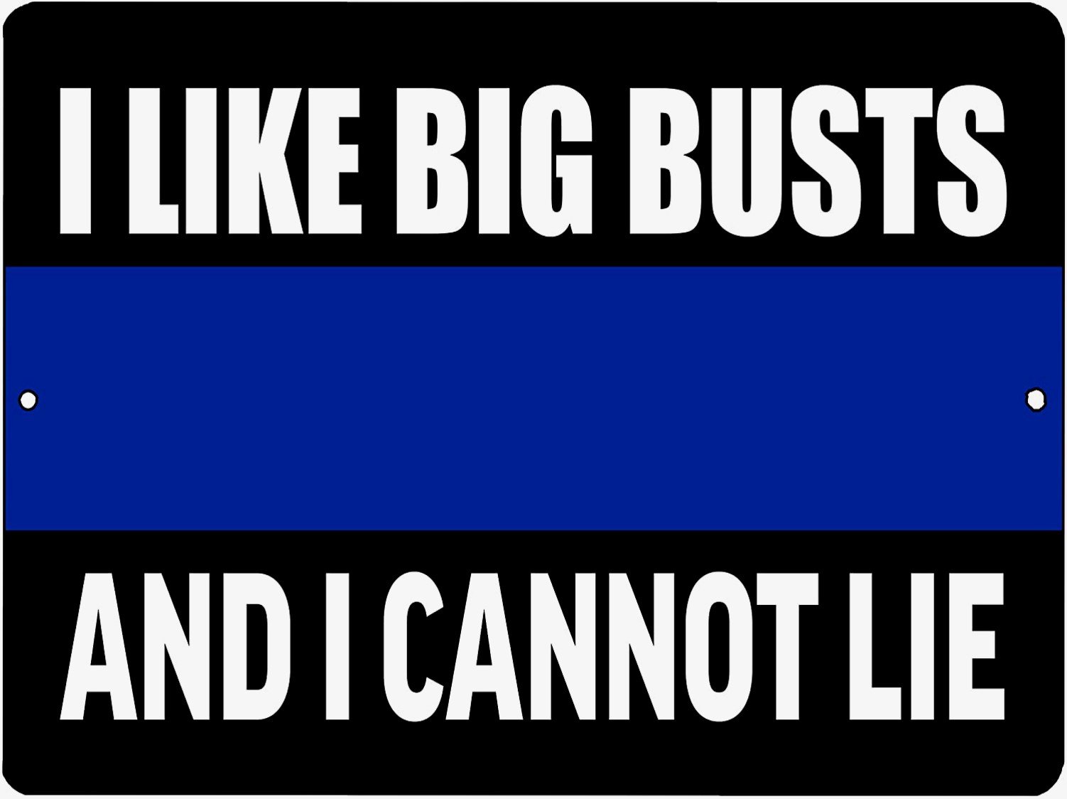 I LIKE BIG BUSTS Retro/Vintage Metal Plaque Sign Style Man Cave Garage Work Office