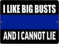 I LIKE BIG BUSTS Retro/Vintage Metal Plaque Sign Style Man Cave Garage Work Office