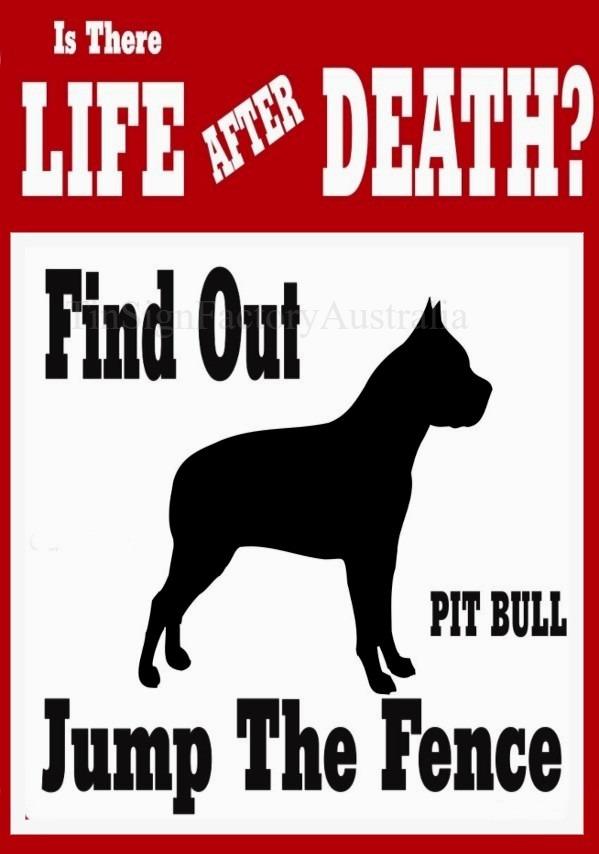 IS THERE LIFE AFTER DEATH? Rustic Retro/Vintage Home Garage Wall Cafe Resto or Bar Tin Metal Sign