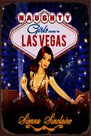 NAUGHTY GUIDE Retro/ Vintage Wall Home Décor, Shed-Garage and Bar Tin Metal Sign