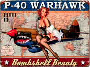P-40 WARHAWK PIN UP Retro/ Vintage Tin Metal Sign Man Cave, Wall Home Decor, Shed-Garage, and Bar