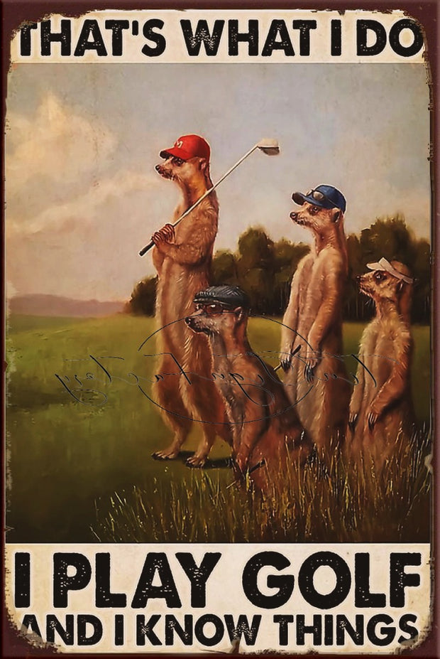 PLAY GOLF Retro/ Vintage Tin Metal Sign Man Cave, Wall Home Décor, Shed-Garage, and Bar
