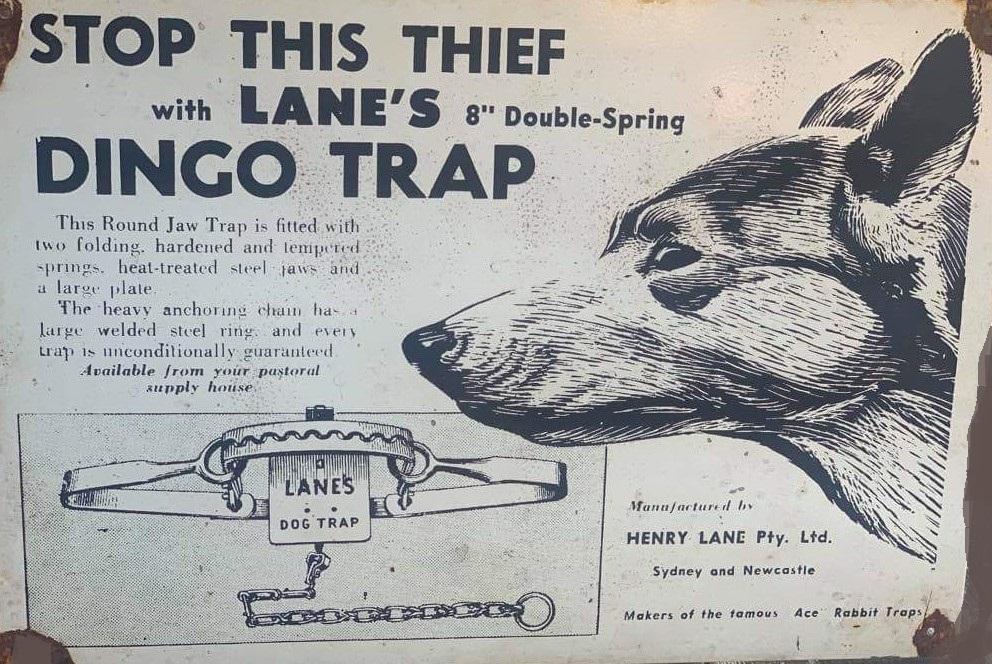 Lanes Dingo Trap sign Rustic Look Vintage Tin Metal Sign Man Cave, Shed-Garage & Bar Sign metal sign - Tin Sign Factory Australia