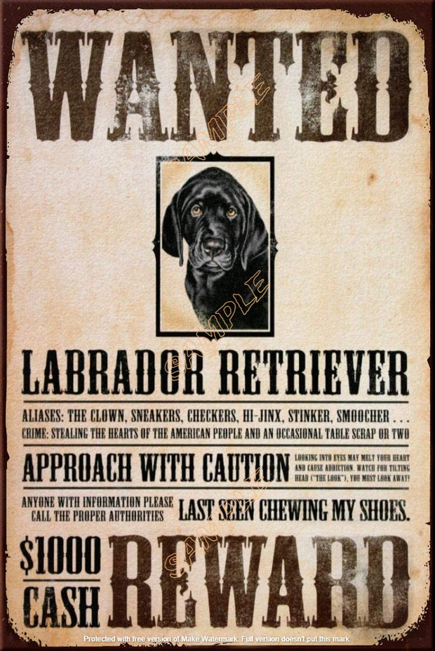 RETRIEVER REWARD Retro/ Vintage Tin Metal Sign Man Cave, Wall Home Décor, Shed-Garage, and Bar