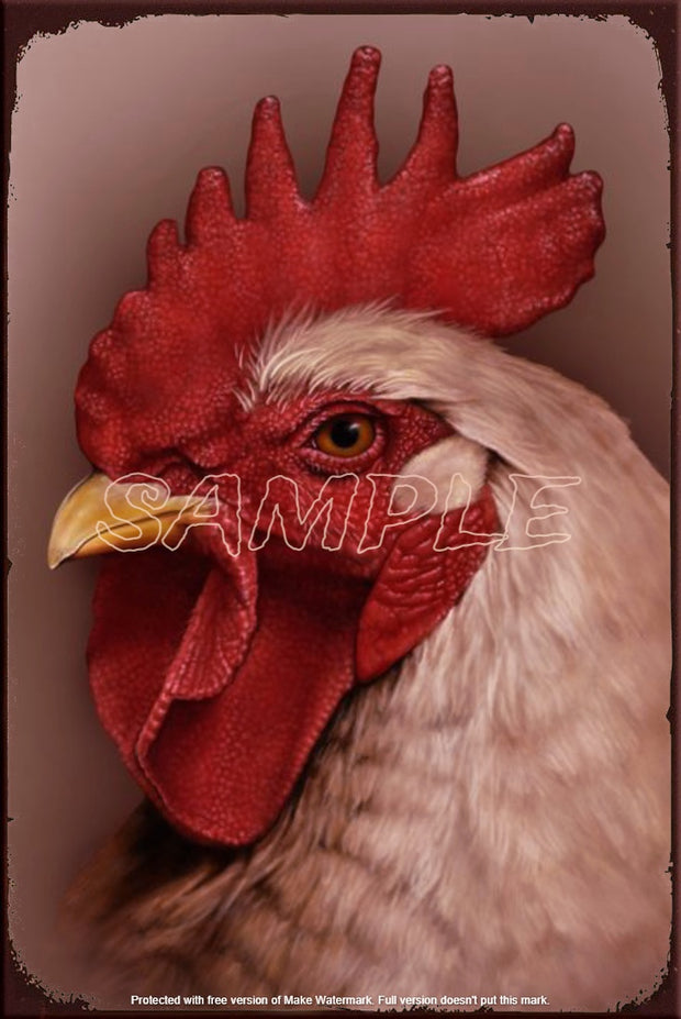 RED COMB ROOSTER Retro/ Vintage Tin Metal Sign Man Cave, Wall Home Décor, Shed-Garage, and Bar