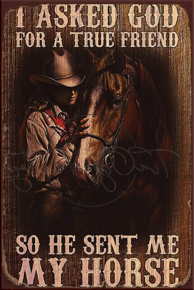 SENT ME HORSE Retro/ Vintage Tin Metal Sign Man Cave, Wall Home Décor, Shed-Garage, and Bar