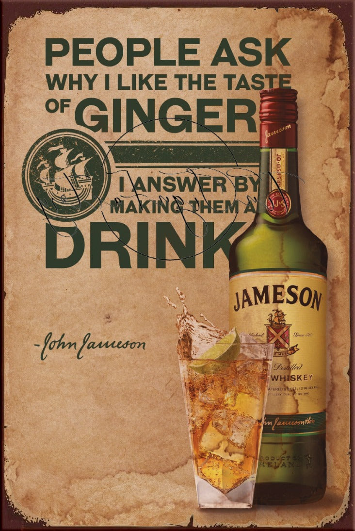 TASTE OF GINGER Retro/ Vintage Tin Metal Sign, Wall Art Home Décor, Shed-Garage, and Bar