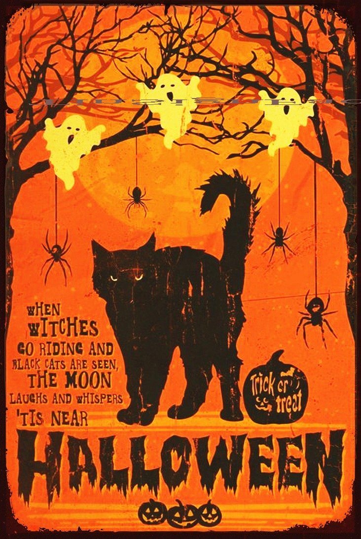 WHEN WITCHES GO RIDING Halloween Funny Rustic Retro/Vintage Wall Café or Bar Tin Metal Sign
